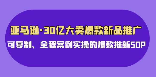 打造亚马逊爆款新品推广：全面案例实操教程，洞悉市场，把握用户需求！-臭虾米项目网