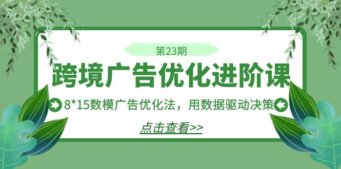 精益广告优化策略：数据驱动决策的跨境广告进阶课程解析-臭虾米项目网