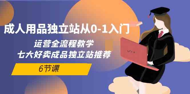 成人用品网站运营全攻略：从零到一的独立站建设与运营实战指南-臭虾米项目网