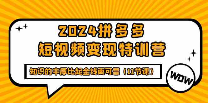 拼多多短视频变现特训营：掌握关键技能，实现轻松赚钱！-臭虾米项目网