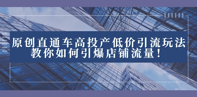 2023年爆款直通车低成本高效引流的运营策略：掌握这招让你的商品瞬间爆火-臭虾米项目网