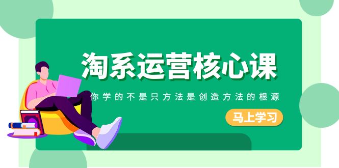 淘系运营核心课：掌握创新思维，挖掘根源提升竞争力！-臭虾米项目网