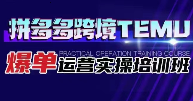 拼多多跨境TEMU爆单运营实操培训班：深度解析海外拼多多的选品、运营、爆单技巧-臭虾米项目网