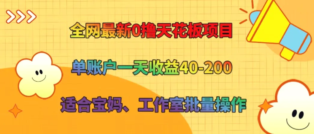 全网最新0撸天花板项目单账户一天收益40200适合宝妈、工作室批量操作-臭虾米项目网