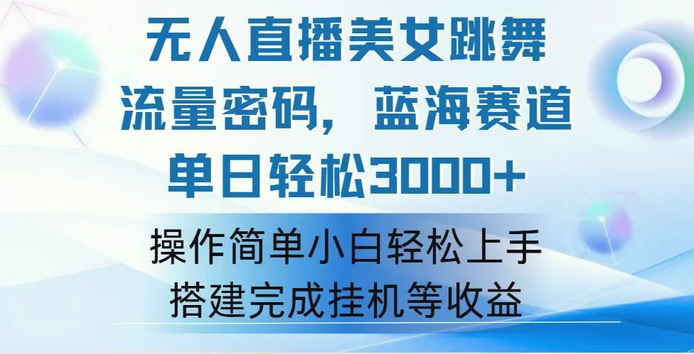 快手无人直播美女跳舞，轻松日入3000 ，流量密码，蓝海赛道，上手简单…-臭虾米项目网