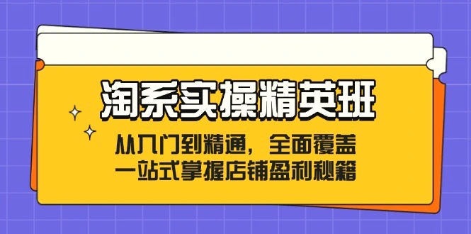 淘系实操精英班：从入门到精通，全面覆盖，一站式掌握店铺盈利秘籍-臭虾米项目网