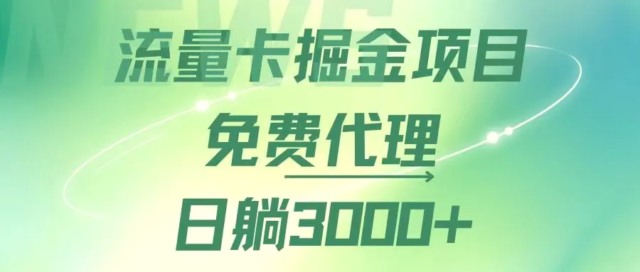 流量卡掘金代理，日躺赚3000 ，变现暴力，多种推广途径-臭虾米项目网