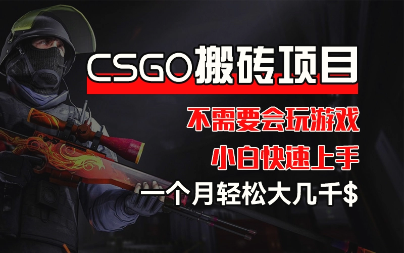 CSGO装备搬砖项目，操作简单，不需要会玩游戏，小白也能快速上手，一…-臭虾米项目网