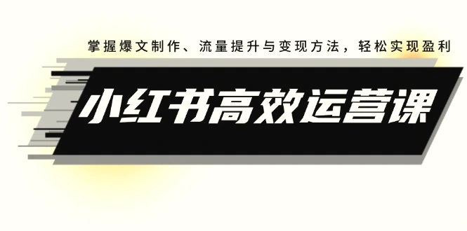 小红书高效运营课：掌握爆文制作、流量提升与变现方法，轻松实现盈利-臭虾米项目网