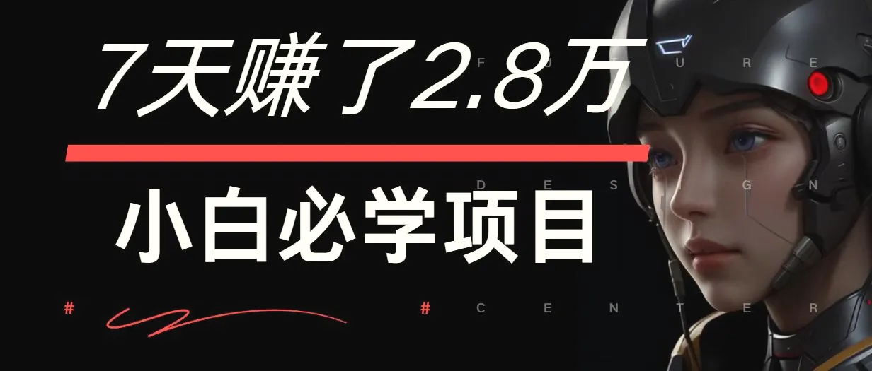 7天赚了2.8万！每单利润最少500 ，轻松月入7万 小白有手就行-臭虾米项目网