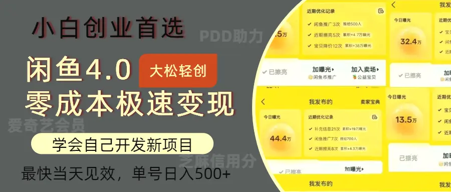 闲鱼0成本极速变现项目，多种变现方式单号日入500 最新玩法-臭虾米项目网