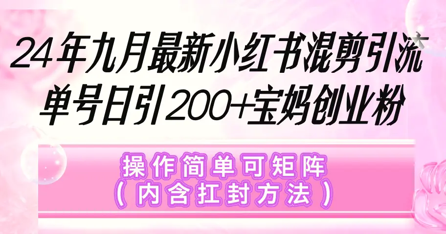 小红书混剪引流，单号日引200 宝妈创业粉，操作简单可矩阵（内含扛封…-臭虾米项目网