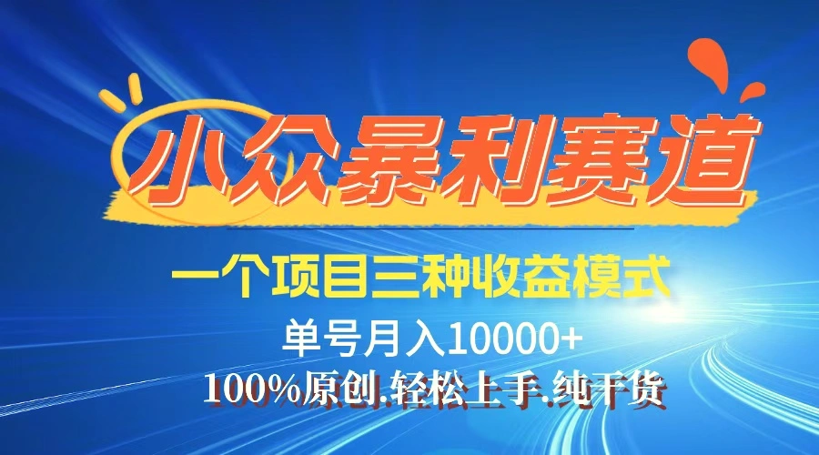 【老人言】视频号爆火赛道，三种变现方式，0粉新号调调爆款-臭虾米项目网