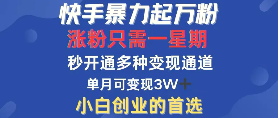 快手暴力起万粉，涨粉只需一星期，多种变现模式，直接秒开万合，小白创…-臭虾米项目网