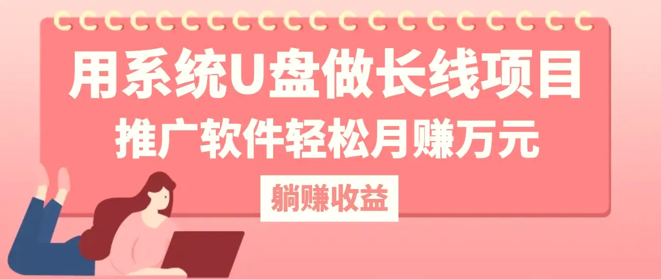 用系统U盘做长线项目，推广软件轻松月赚万元（附制作教程 软件）-臭虾米项目网