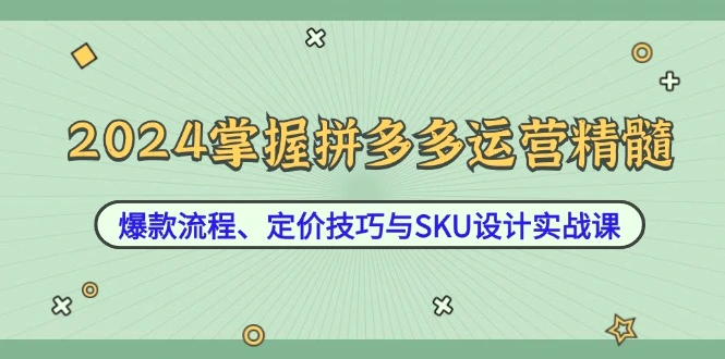 2024掌握拼多多运营精髓：爆款流程、定价技巧与SKU设计实战课-臭虾米项目网