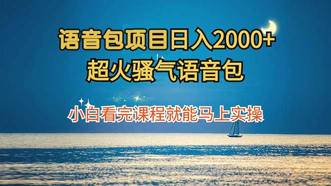 语音包项目日入2000 超火骚气语音包小白看完课程就能马上实操-臭虾米项目网