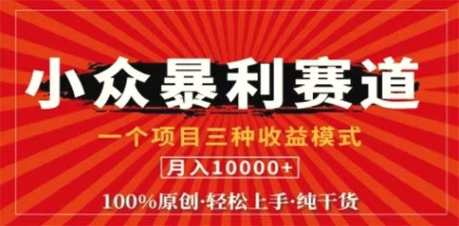 视频号最新爆火赛道，三种可收益模式，0粉新号条条原创条条热门日入1000-臭虾米项目网