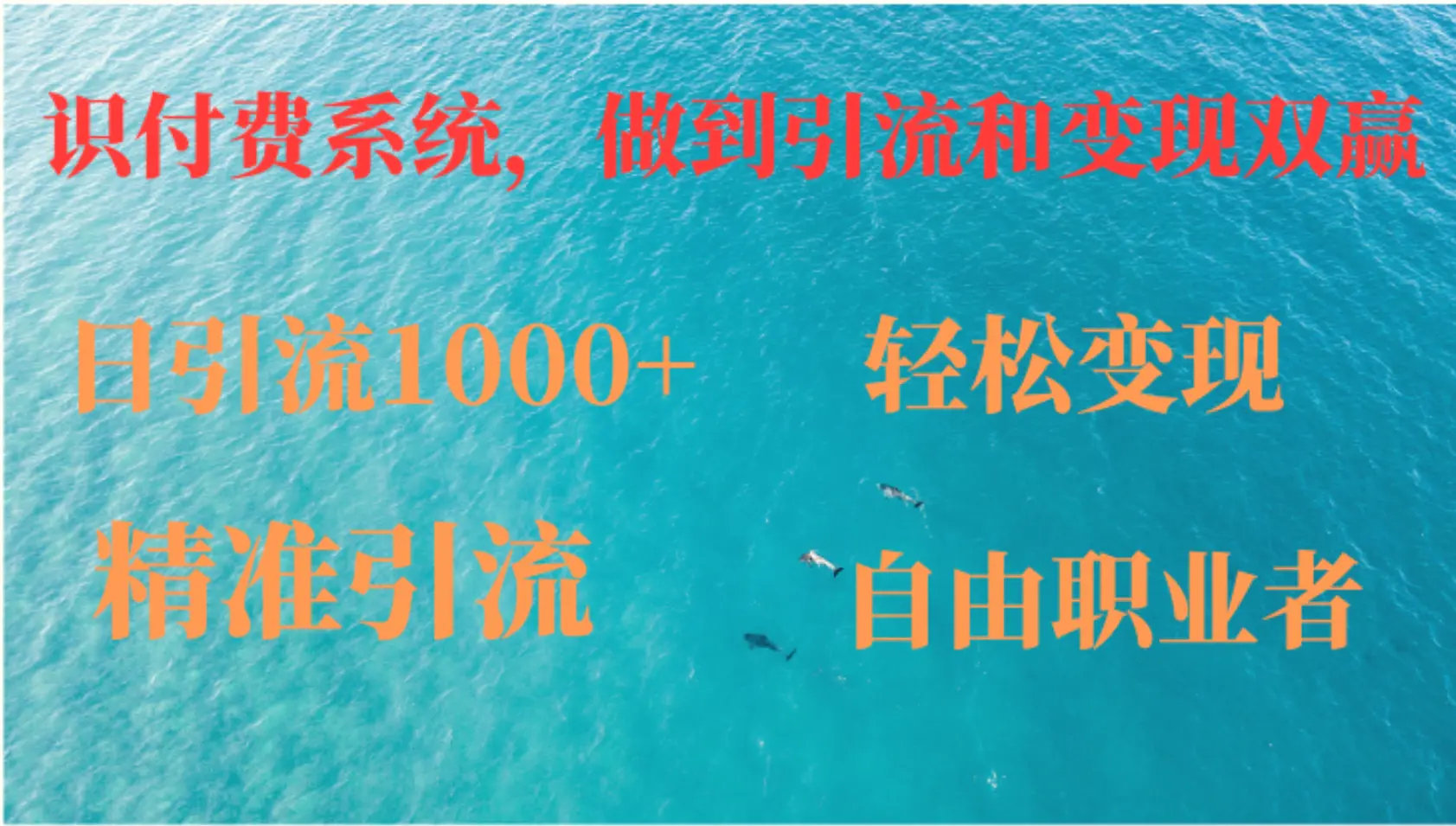 如何搭建自己的知识付费系统，做到引流和变现双赢-臭虾米项目网