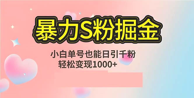 单人单机日引千粉，变现1000 ，S粉流量掘金计划攻略-臭虾米项目网