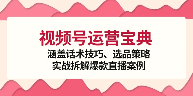 视频号运营宝典：涵盖话术技巧、选品策略、实战拆解爆款直播案例-臭虾米项目网