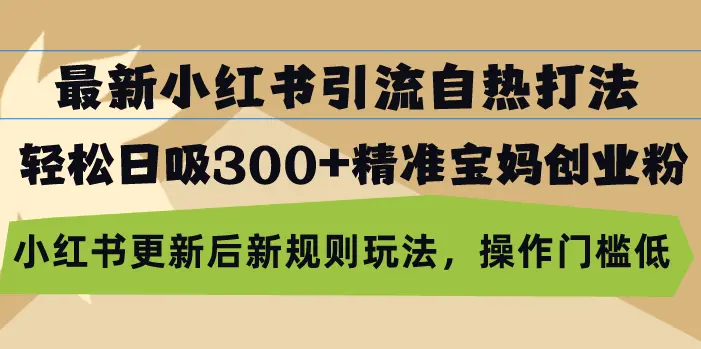 最新小红书引流自热打法，轻松日吸300 精准宝妈创业粉，小红书更新后新…-臭虾米项目网