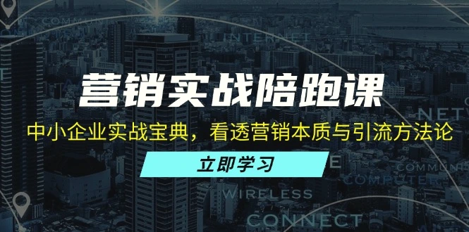 营销实战陪跑课：中小企业实战宝典，看透营销本质与引流方法论-臭虾米项目网