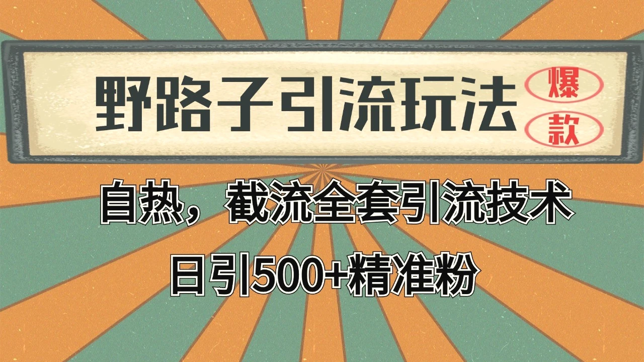 抖音小红书视频号全平台引流打法，全自动引流日引2000 精准客户-臭虾米项目网