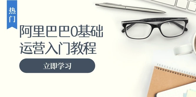 阿里巴巴运营零基础入门教程：涵盖开店、运营、推广，快速成为电商高手-臭虾米项目网