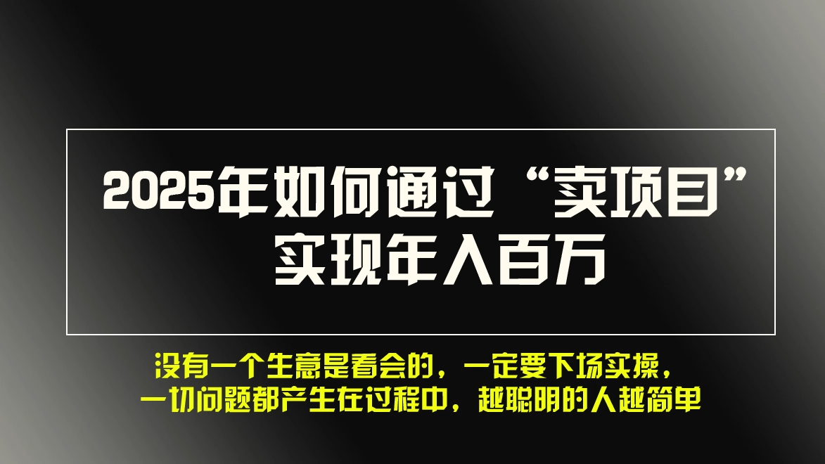 2025年如何通过“卖项目”实现年入百万，做网赚必看！！-臭虾米项目网