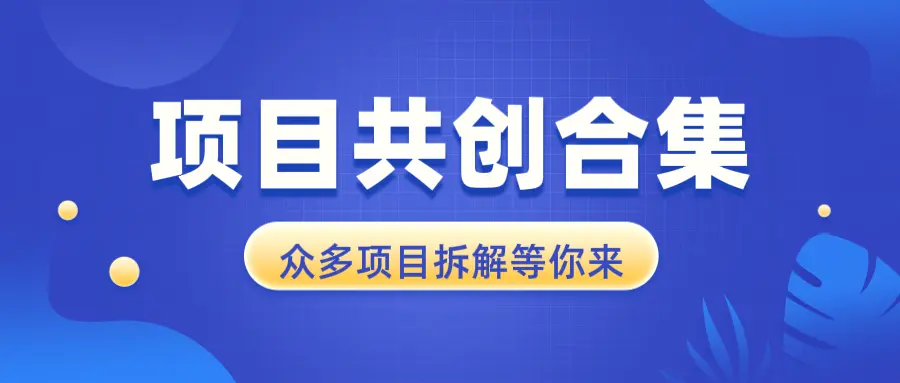 项目共创合集，从01全过程拆解，让你迅速找到适合自已的项目-臭虾米项目网